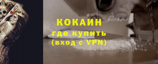 шишки Гусиноозёрск